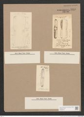 Navicula sp. (de-Toni-Nr.: Genus 1) Zeichnungen Sammlung Grunow Nr. 1546 (NHMW-BOT-W0368075)